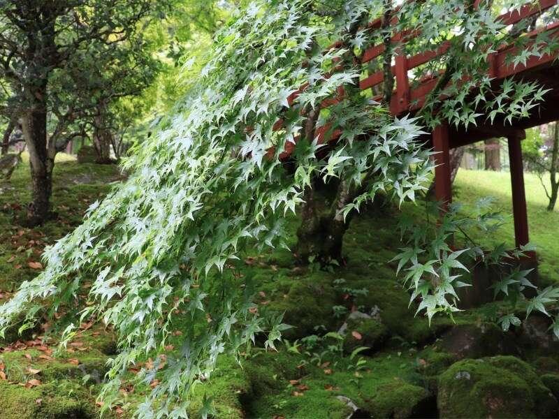 Yumoto Ueyama Ryokan Himeji Buitenkant foto
